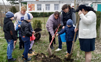 Экологическая акция «Посади дерево» Экологическая акция «Посади дерево».